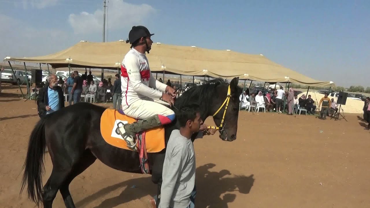 نادي الجبيل للفرسيه 29-10-2021