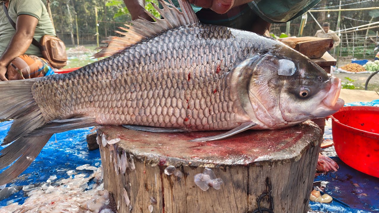 Saddam All Fish Cutting Skills | Big Snapper Fish Cutting Skills In Fish Market #fish​ 🐟🔪🐠