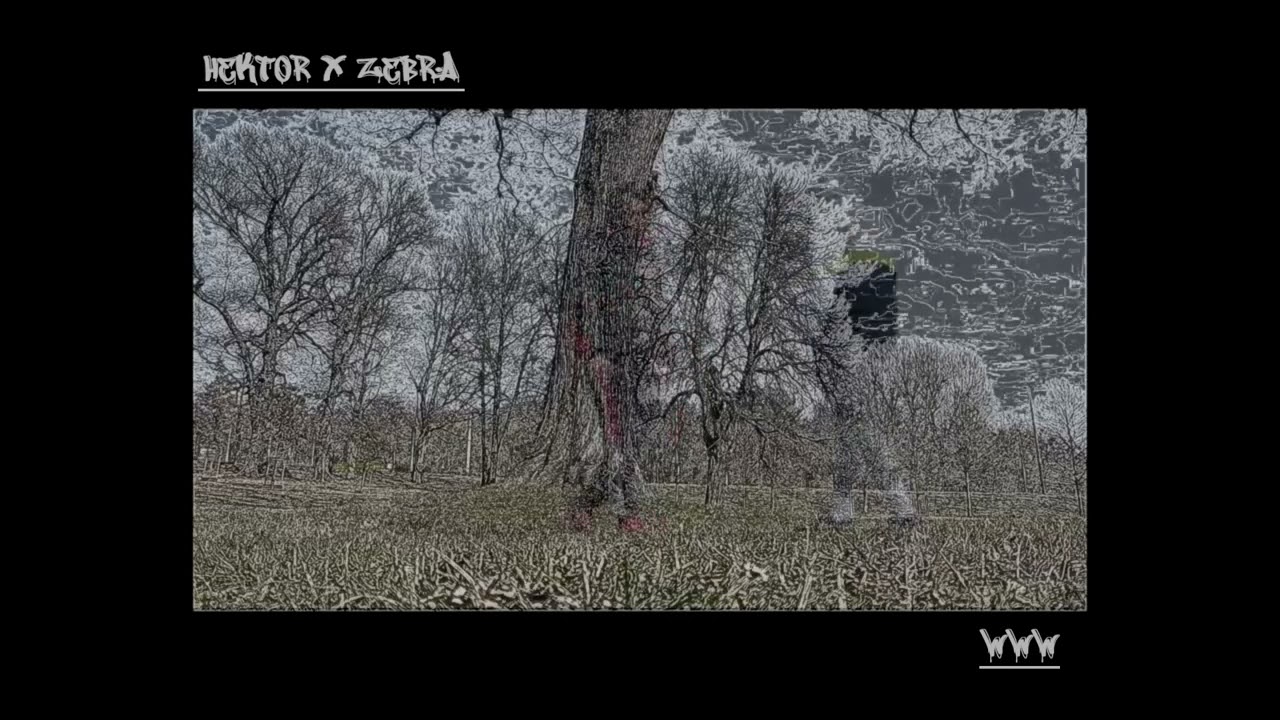 hektor x zebra - WWW (prod. sonni)
