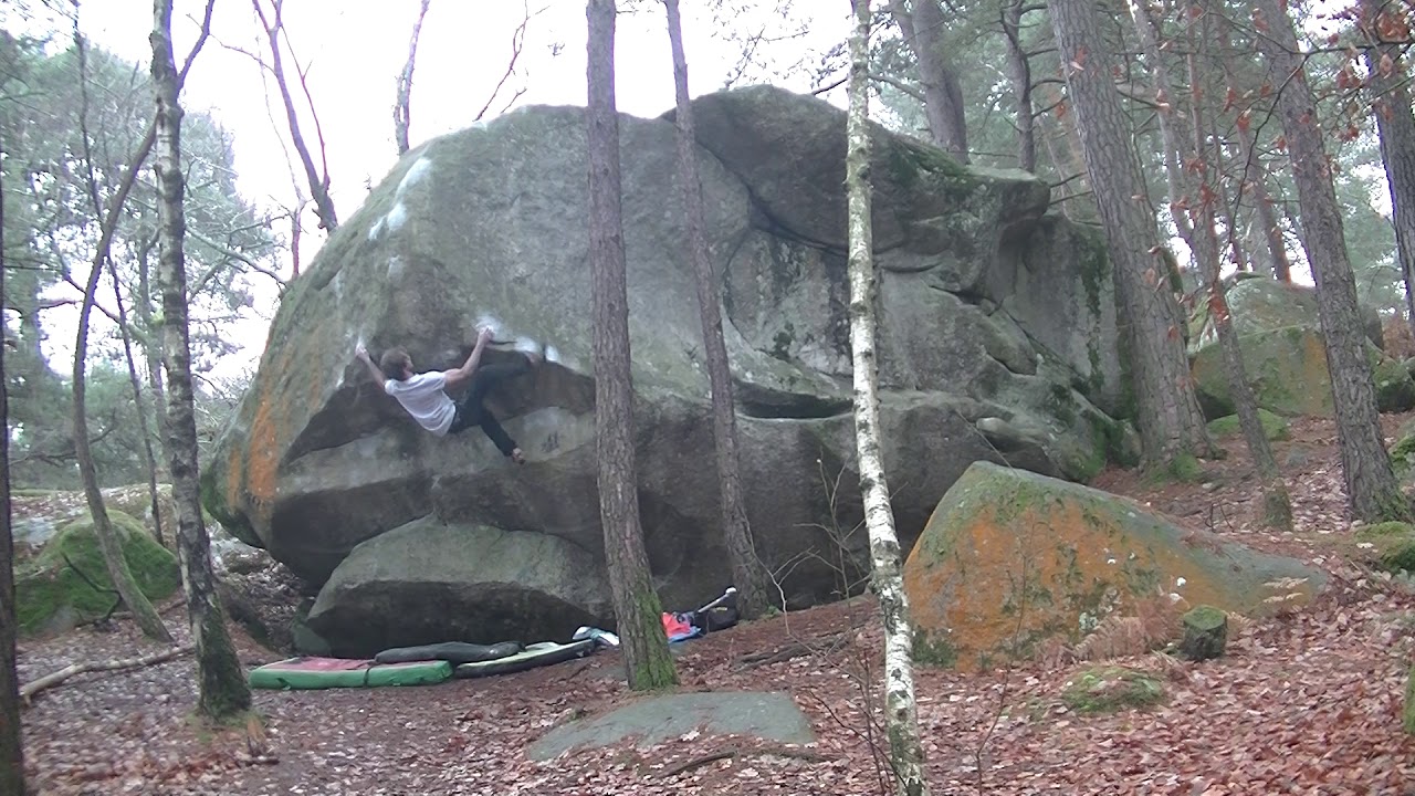 bleu sacré 8b bleau