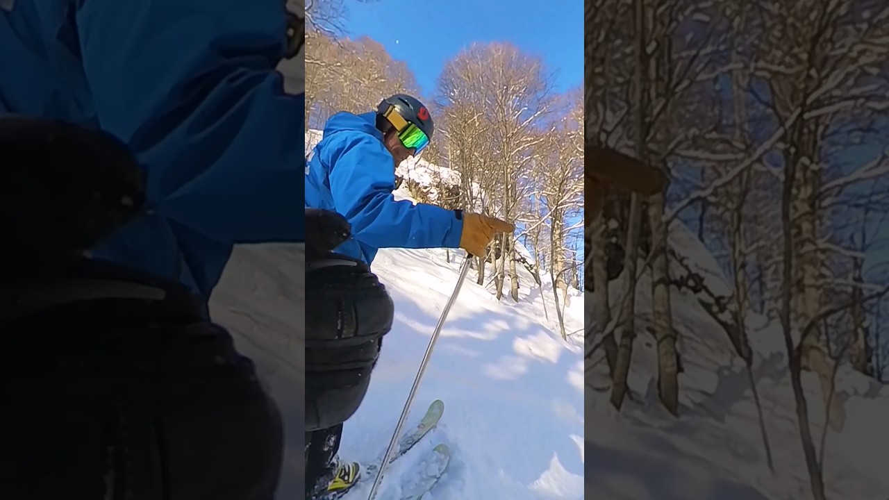 telemark skiing | in the woods #telemark #spreadtelemark #telemarkskiing #skiingstyle #snow