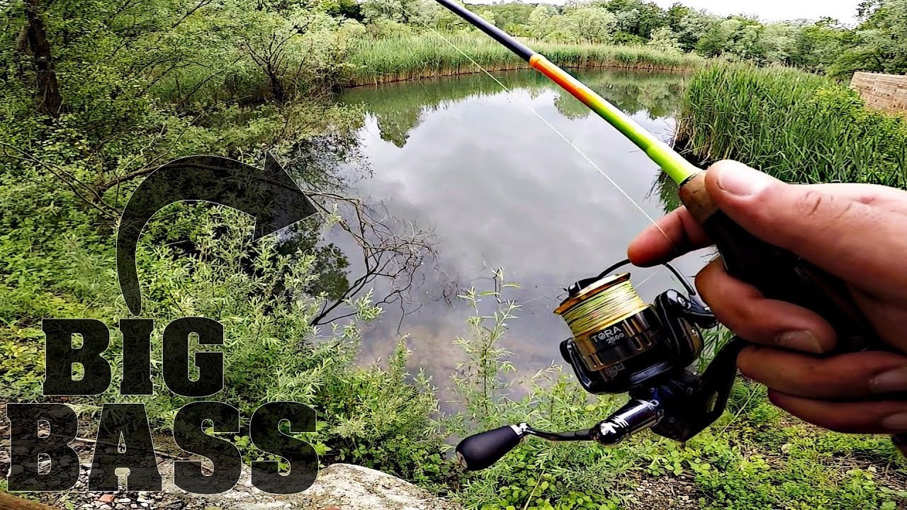 Il PARADISO dei BASS e il BIG in cover  - Pesca al Black Bass da riva - Finesse Bass Fishing