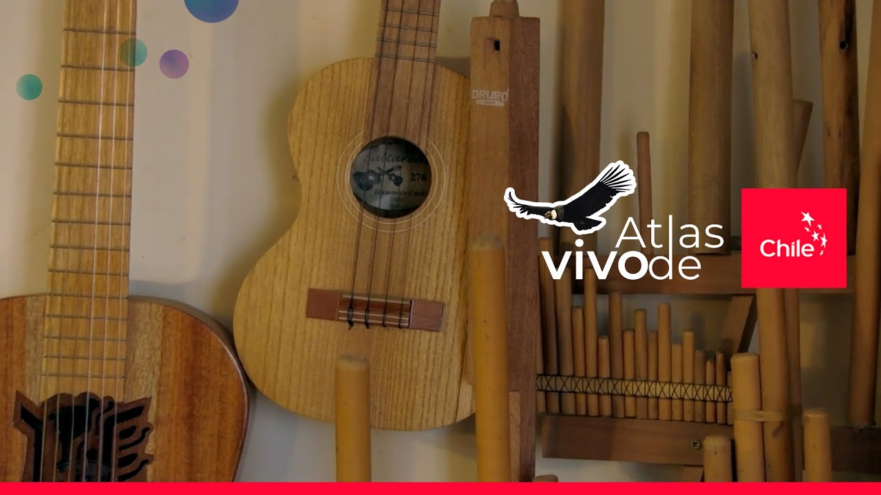 El arte del luthier: Máximo López y los sonidos del bosque | Atlas Vivo de Chile