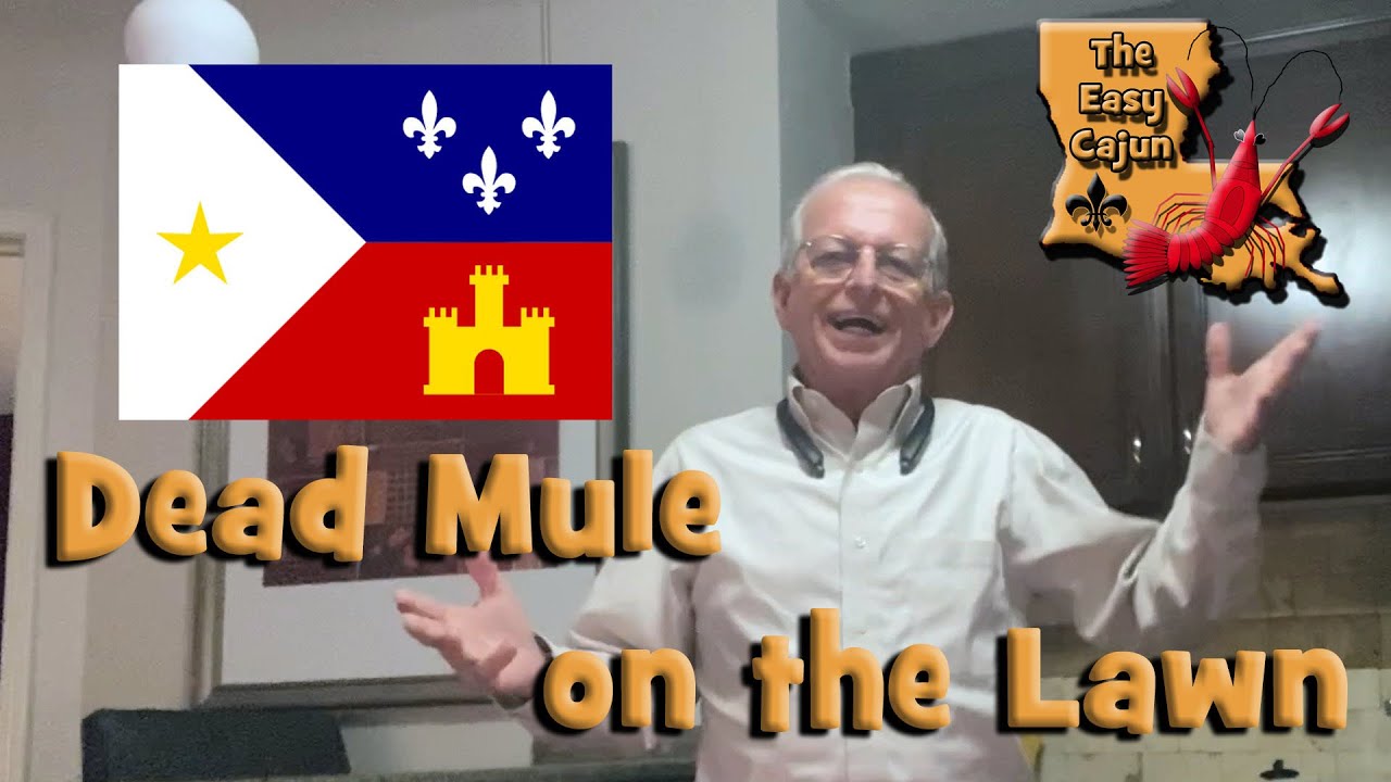 Dead Mule on the Lawn