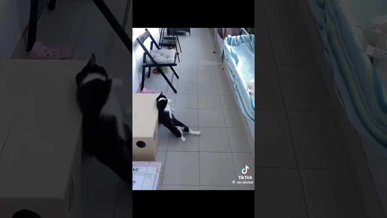 ٢١ نوفمبر ٢٠٢٣