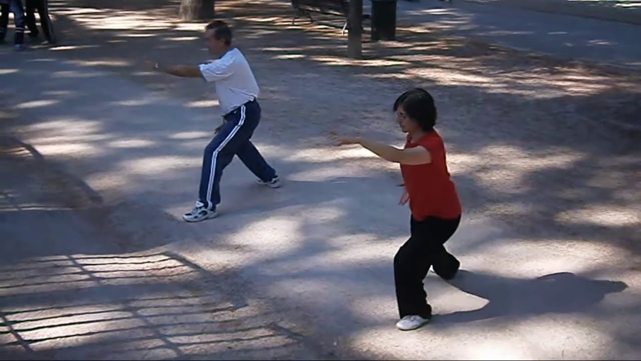 Forma de TaiChi estilo Chen ▶ 36 MOVIMIENTOS de Tian XiuChen (田秀臣)