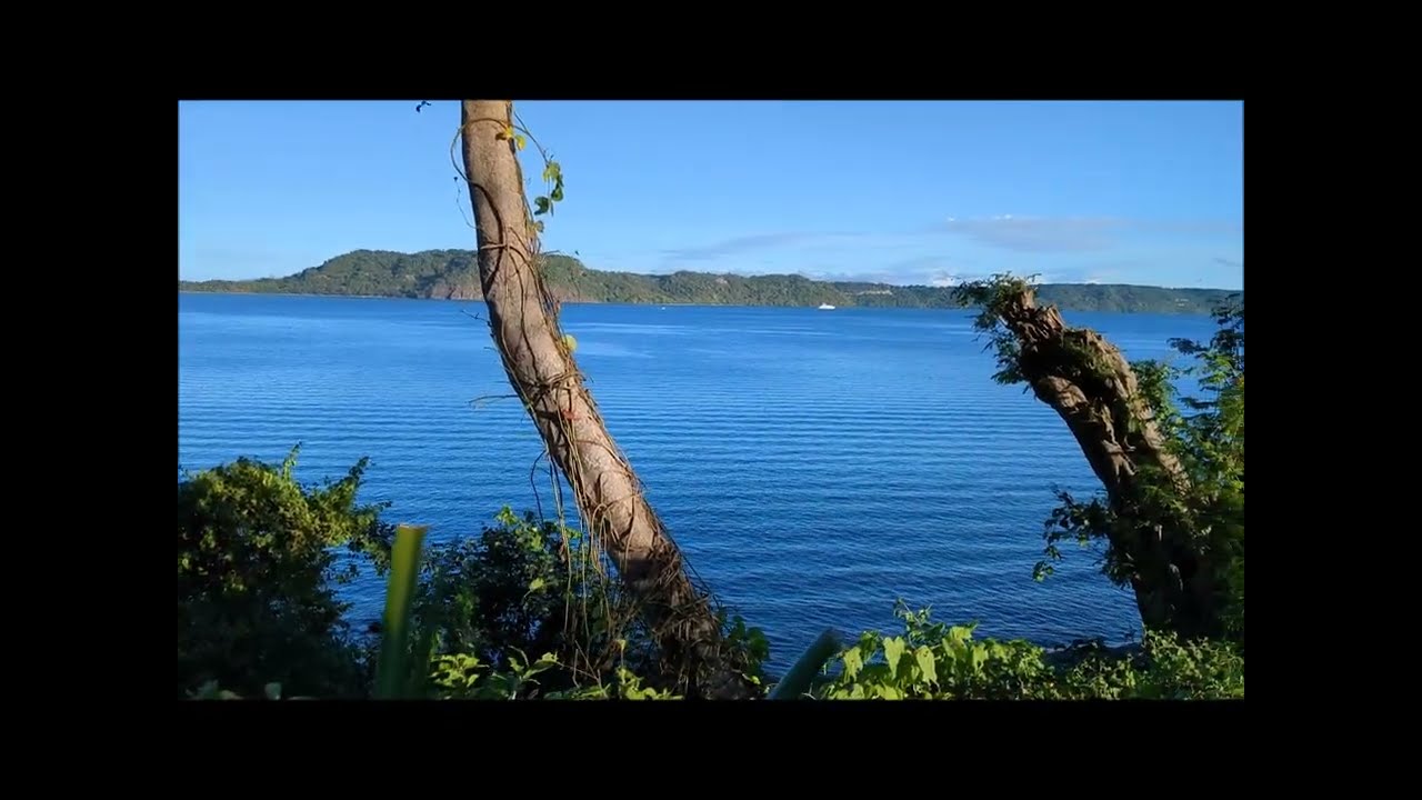 Biodiversity of Costa Rica