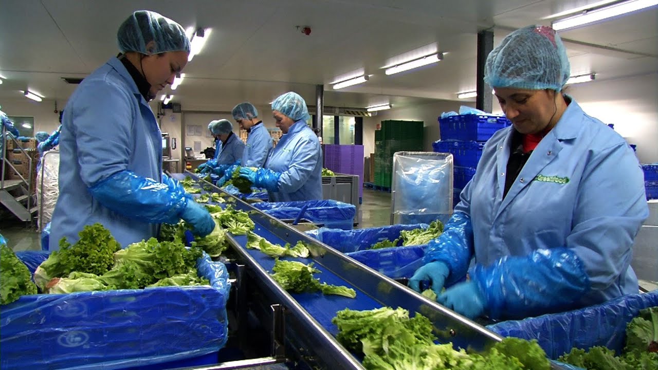 Van Gorp Greenfood Belfeld - Algemene impressie