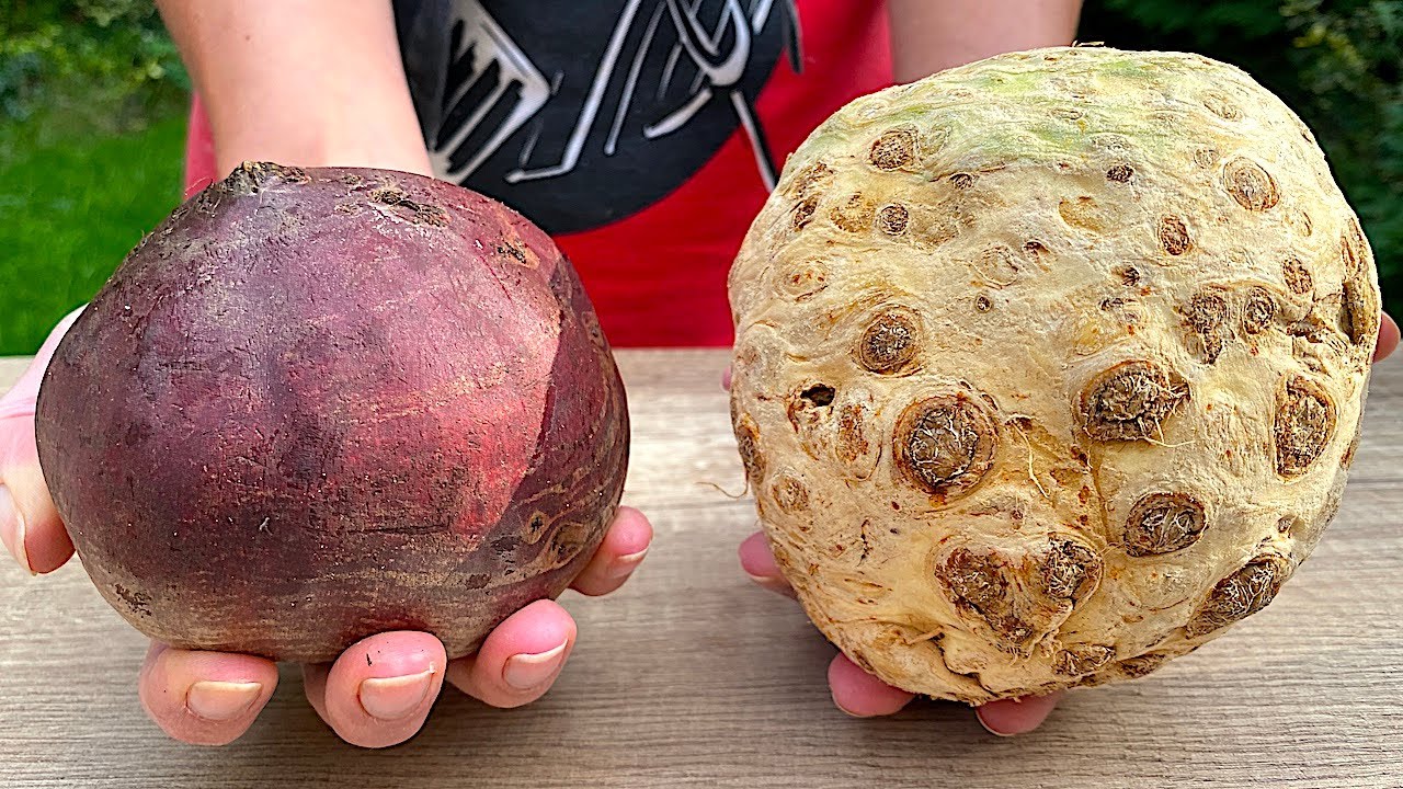 Nie mogę przestać jeść tej sałatki z buraków, marchwi i selera 🥕🥬 Nowy przepis na świeżą s