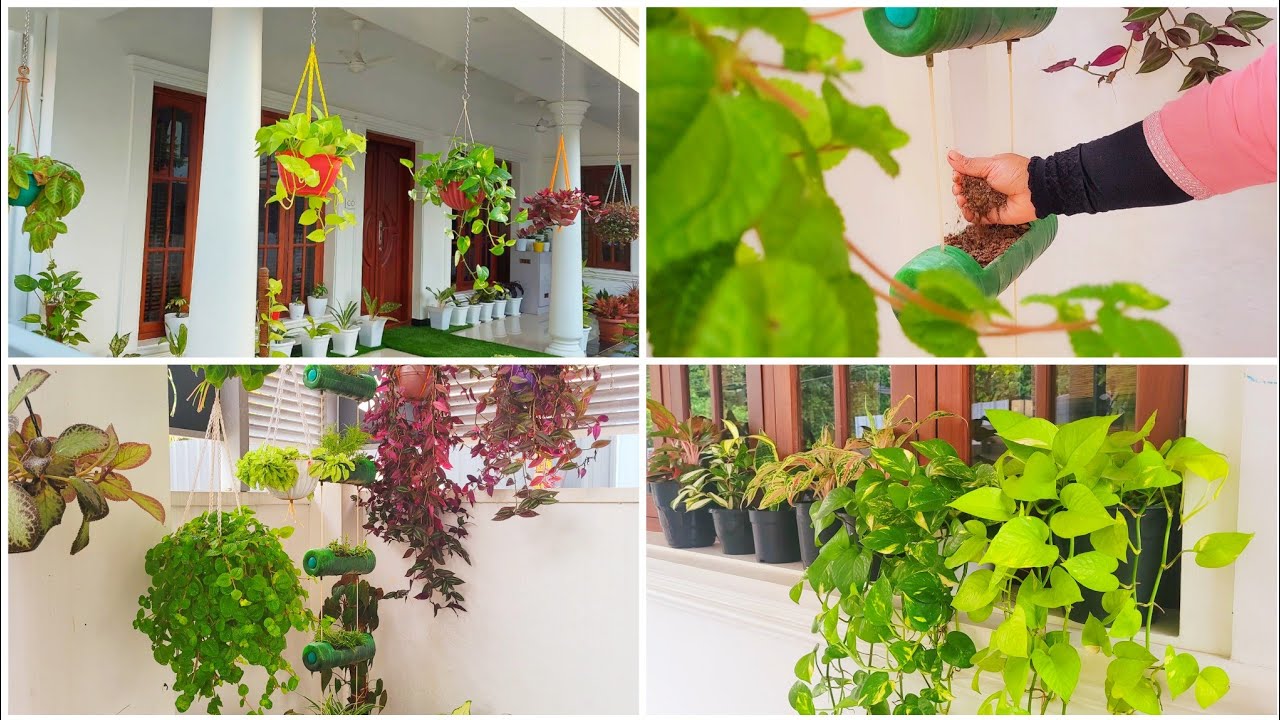 Garden Makeover | Garden Cleaning |Malayalam |Subina Nishad