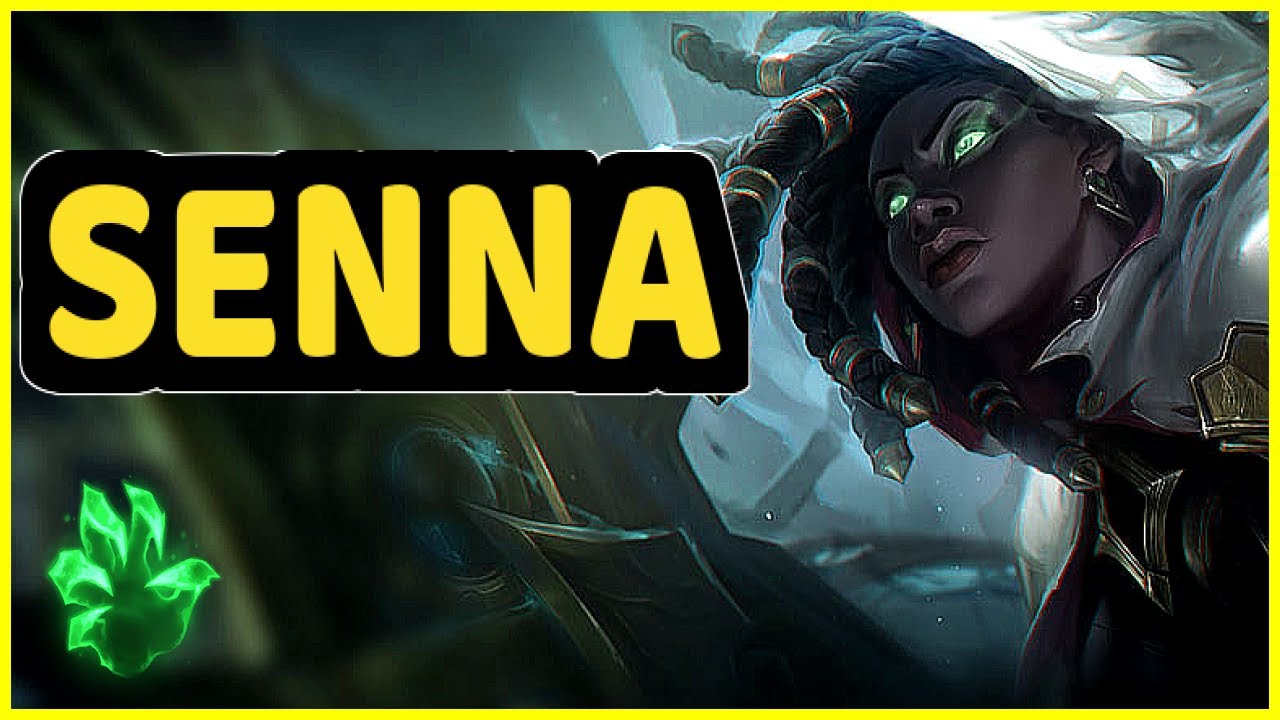 SENNA SUPPORT HIGHLIGHTS