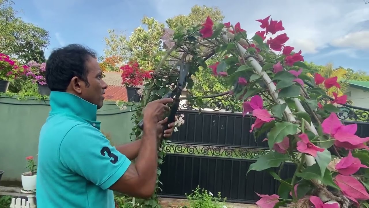 Garden එක බලන ගමන් …ජීවිතෙන් බිදක්😌❤️