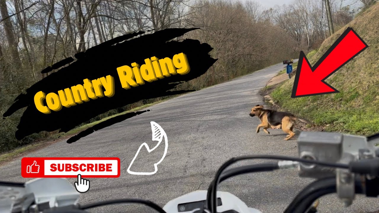 Country Riding ft DOG CHASE on my 2021 Raptor 700R SE