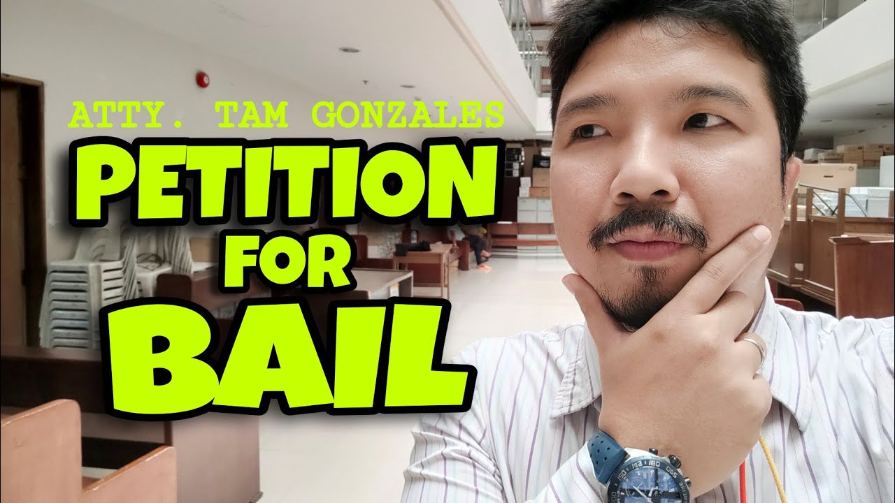 PETITION FOR BAIL #87