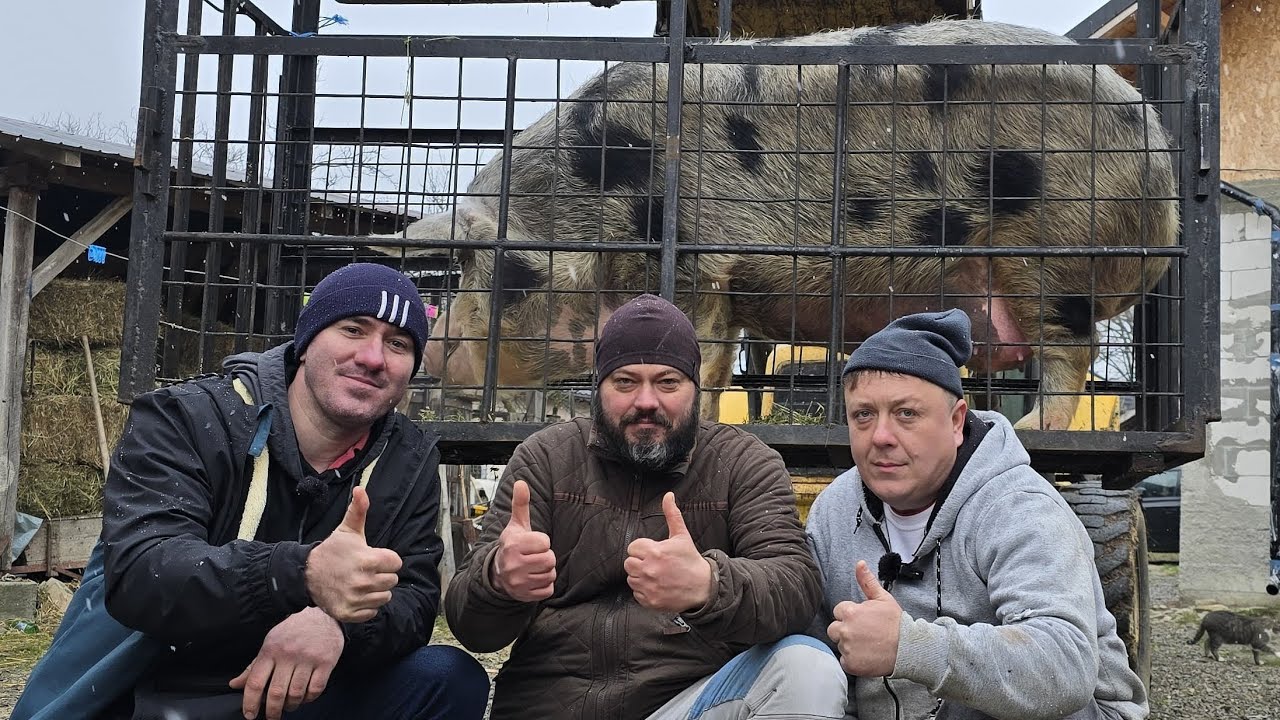 Sfârșitul de an 2024