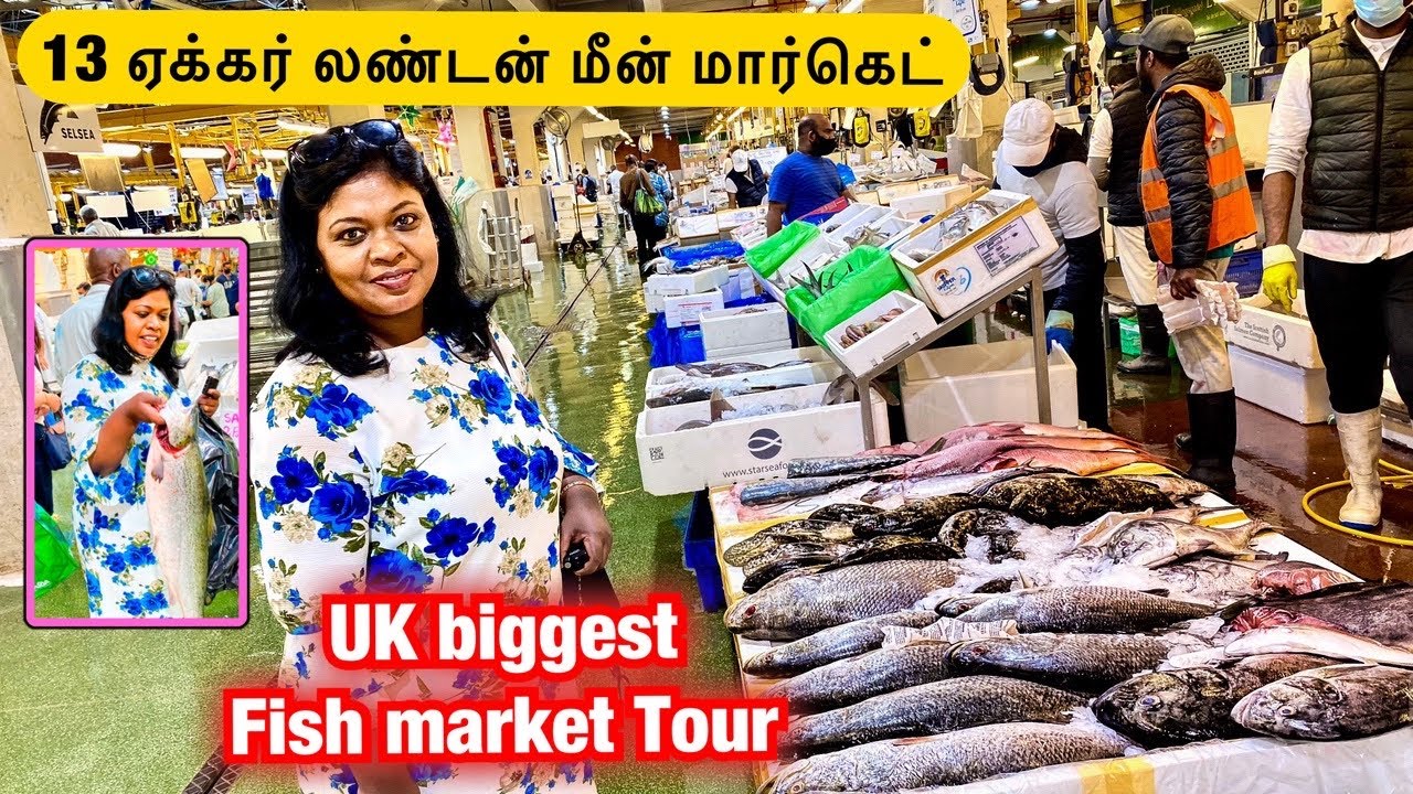 🐠20 கிலோ மீன் பர்சஸ்13 ஏக்கர் லண்டன் மீன் மார்கெட்ல/அபூர்வ மீன்கள்/London Billingsgate fish market