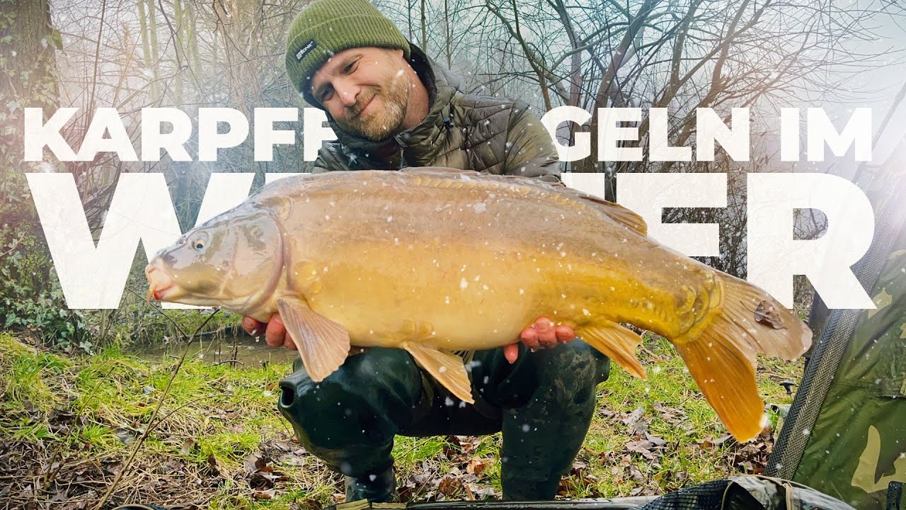 KARPFENANGELN IM WINTER: Bei kaltem Wasser zum Erfolg!