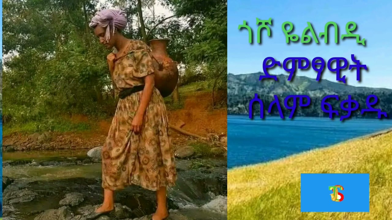 new music offical audo ሰላም ፍቃዱ  2023