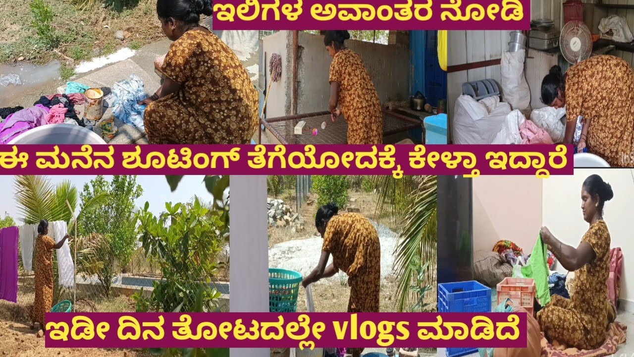 ಈ ಮನೇನ ಶೂಟಿಂಗ್ ತಗೆಯೋಕೆ ಕೇಳ್ತಿದಾರೆ//ಇಡೀ ದಿನ ತೋಟದಲ್ಲೇ vlog ಮಾಡಿದೆ //ಇಲಿಗಳ ಅವಾಂತರ ನೋಡಿ //daylivlog...
