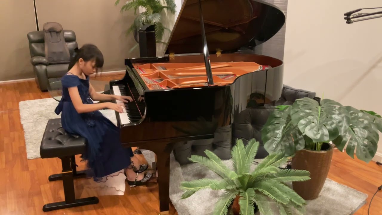 L.v.Beethoven - Sonata No.5 in C minor Op.10/1 (1st movement)