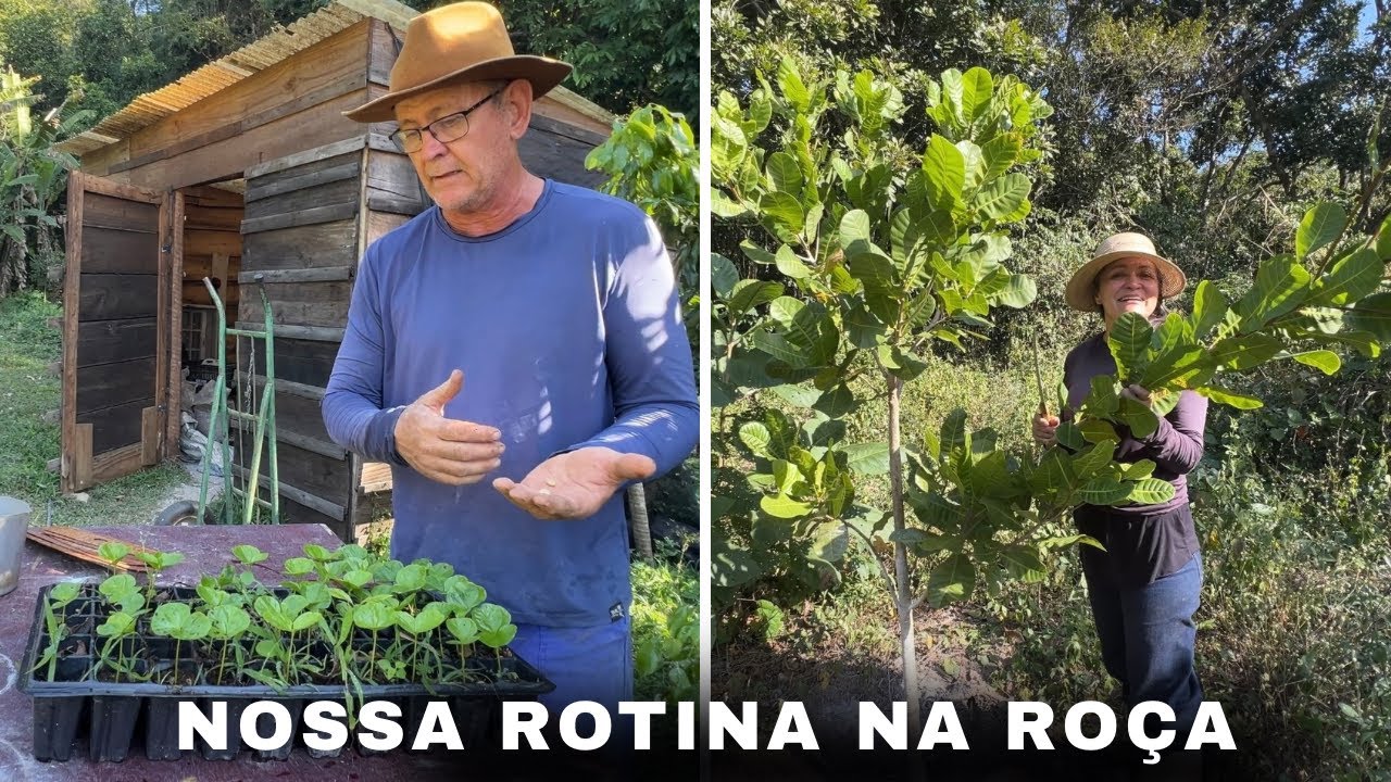 PLANTIO DE CAFÉ,PODA E ADUBAÇÃO DAS FRUTÍFERAS DO SÍTIO/Bora pra roça?
