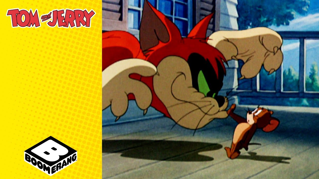 Lightning Cat! | Tom and Jerry | @BoomerangUK | Cartoons for Kids