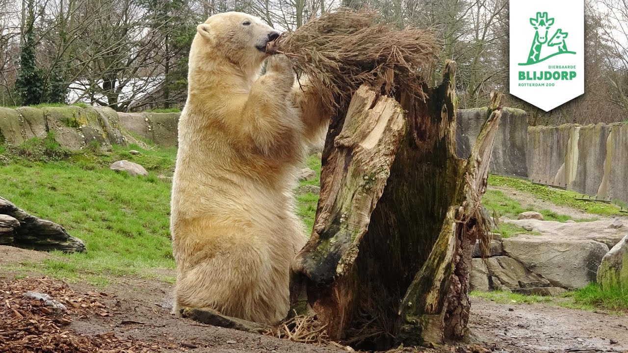 Diergaarde Blijdorp 2024