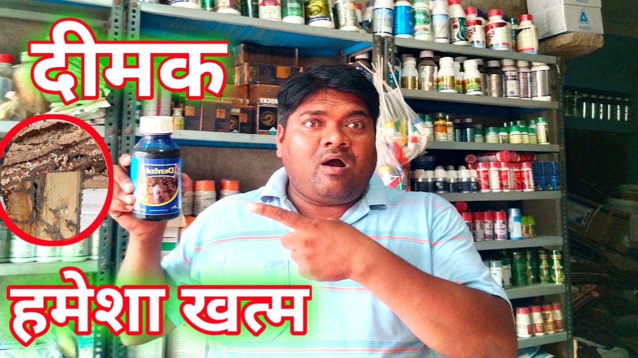 लो अब आ गई दीमक को हमेशा ख _त्म करने वाली दवाई । termite chemical treatment | dimak ki dawai 