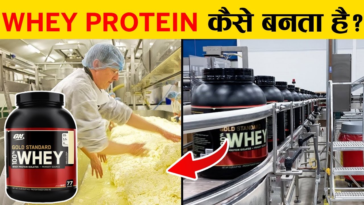 फैक्ट्री में WHEY PROTEIN पाउडर कैसे बनता है? How is 'WHEY PROTEIN' made in Factory?