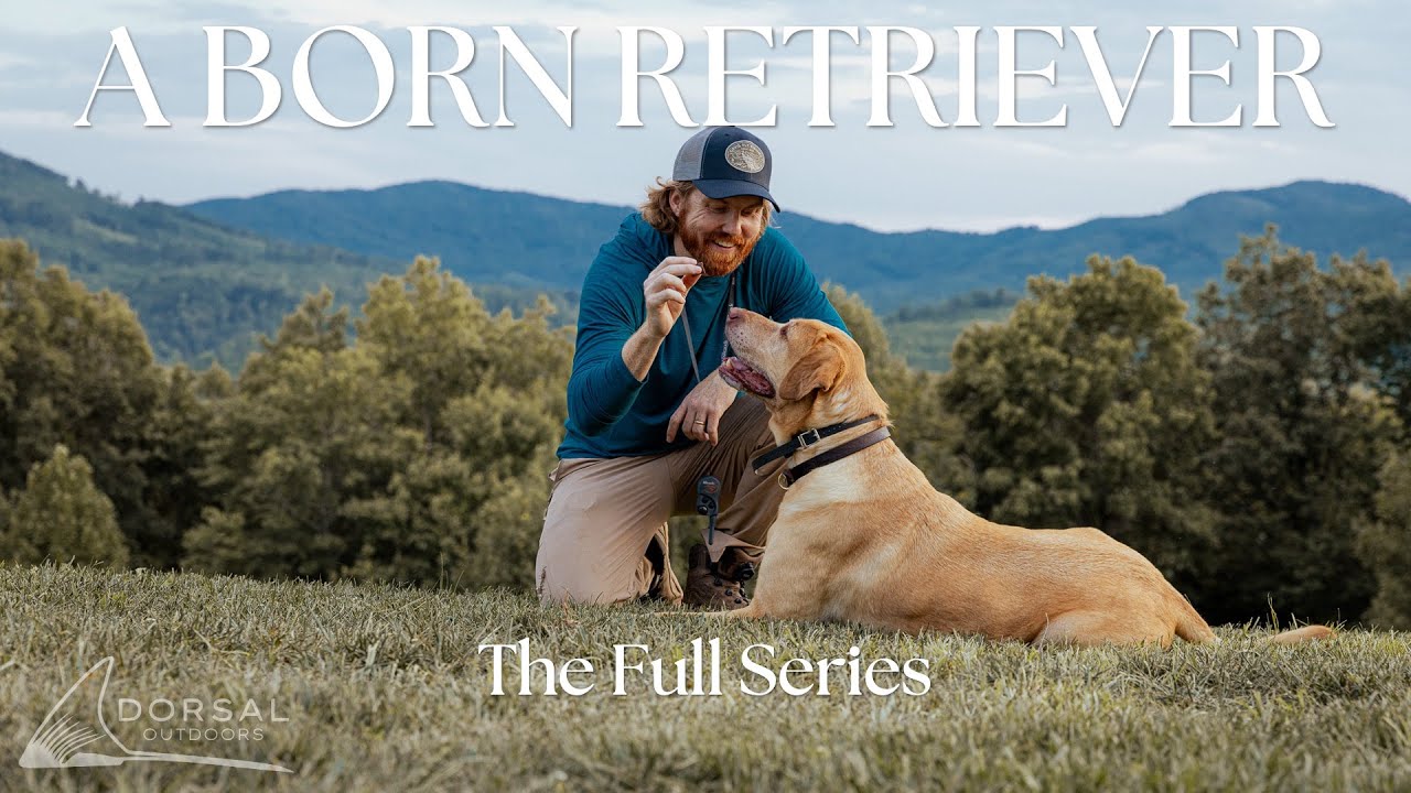 The ENTIRE Born Retriever Film Series | Episodes 1-7 | From Duck Hunting to Trout Fishing