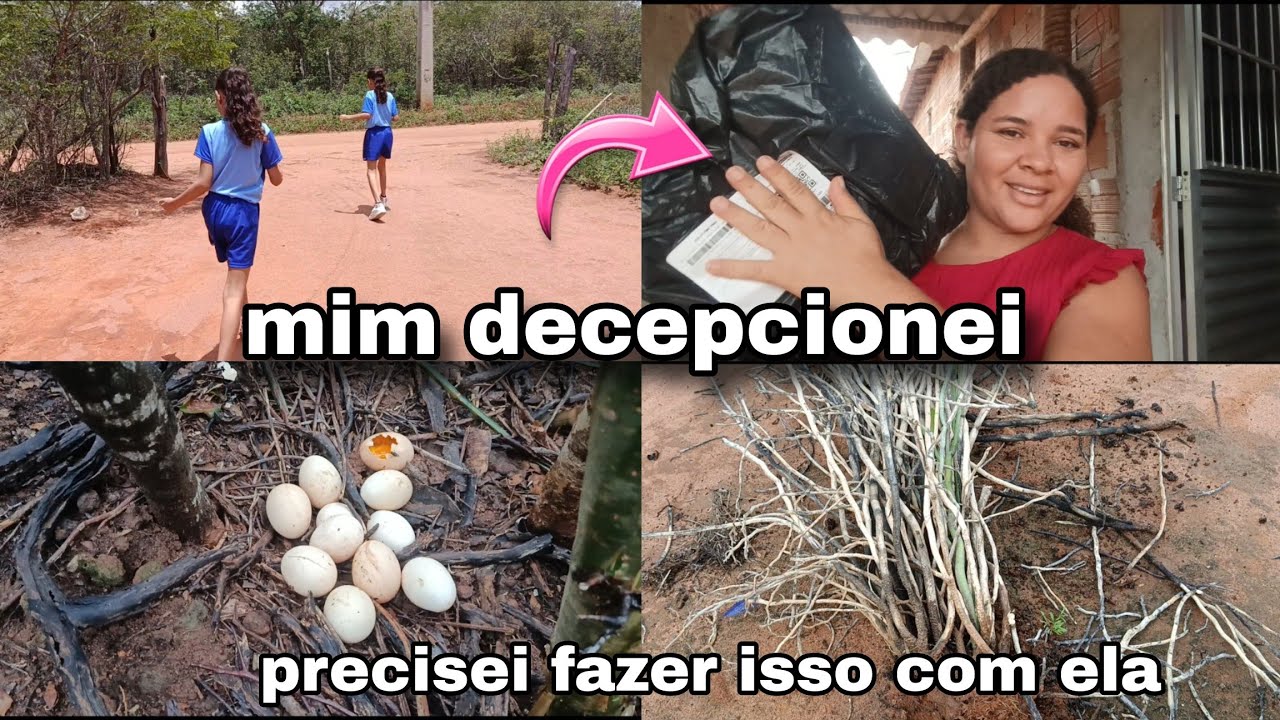 Comprinha na shopee/ nossa rotina na roça 