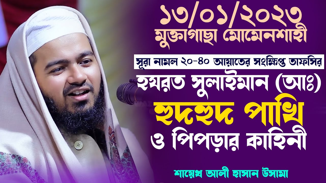 হুদহুদ পাখি ও সুলাইমান(আঃ) এর কাহিনী   শায়েখ আলী হাসান উসামা Ali hasan osama