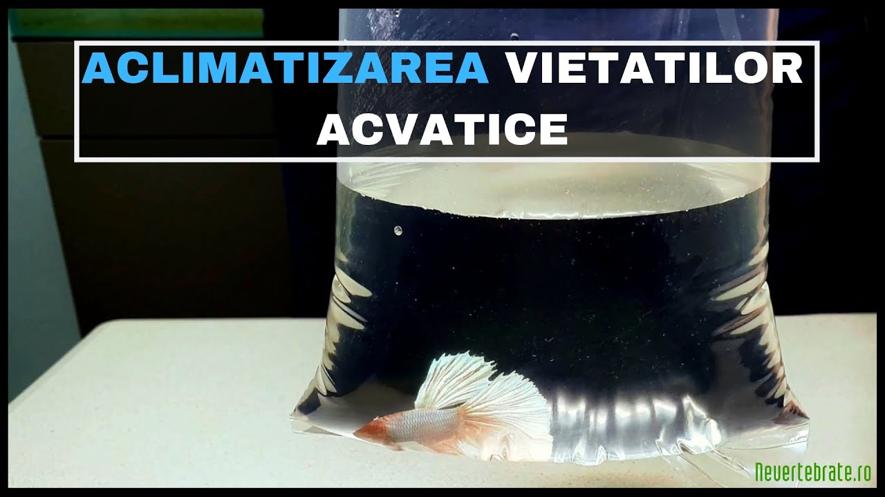 Aclimatizarea vietatilor acvatice