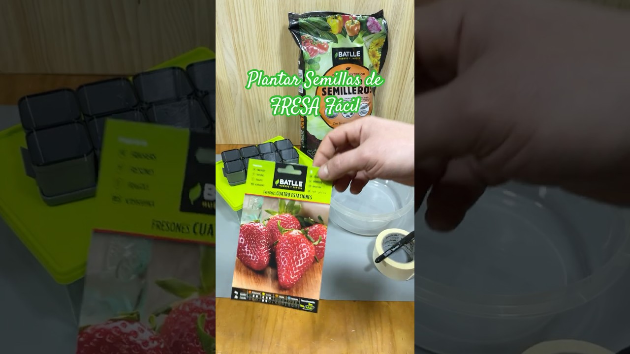 Plantar Semillas de FRESA F&aacute;cil