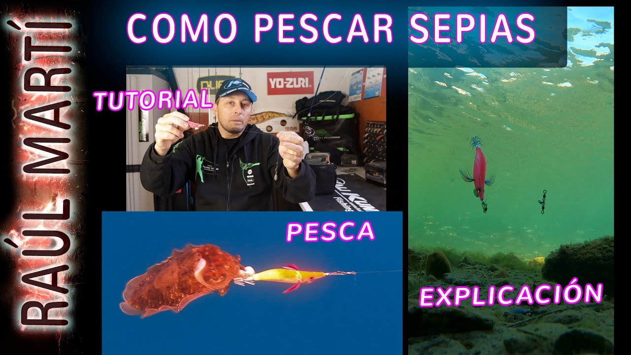COMO PESCAR SEPIAS  EXPLICADO Y PESCANDO