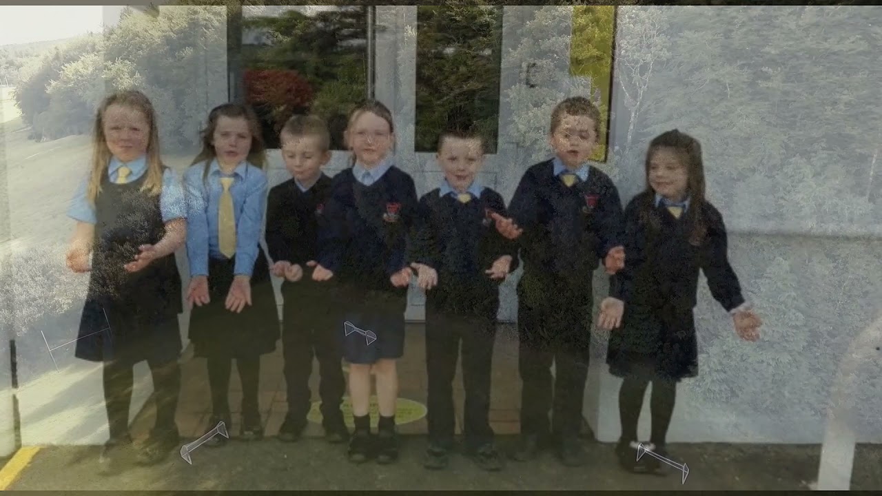 Kilbrittain National School 'Sponsor a Tree' Campaign