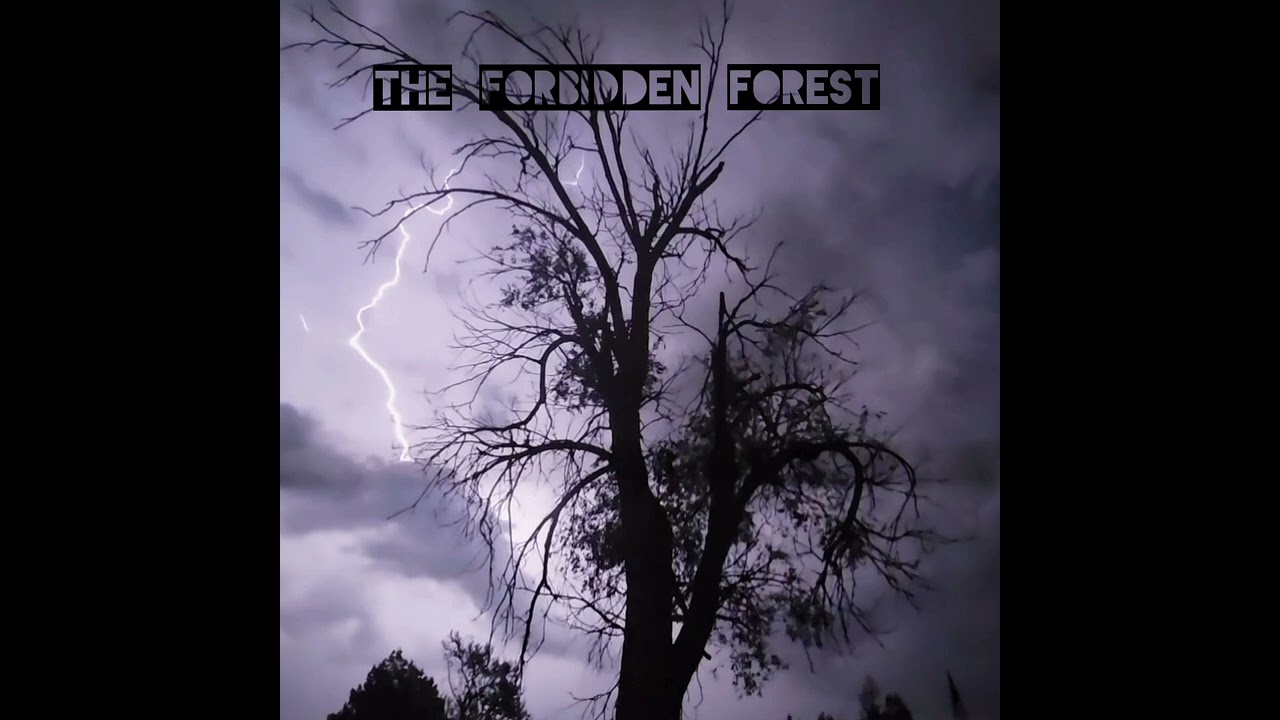 The Forbidden Forest 