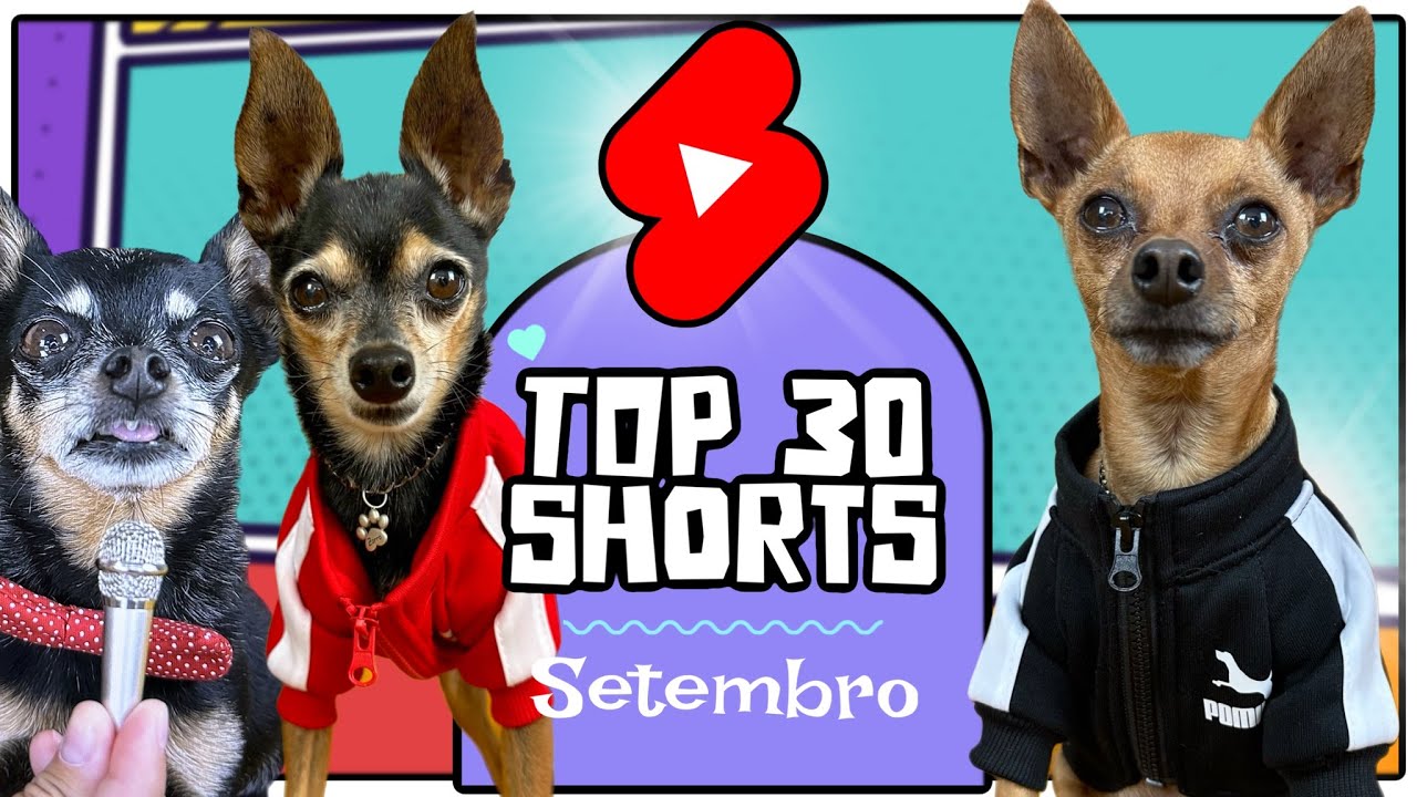 OS MELHORES SHORTS DE SETEMBRO 2023 DOS PEQUENOS PRÍNCIPES | COMPILADO