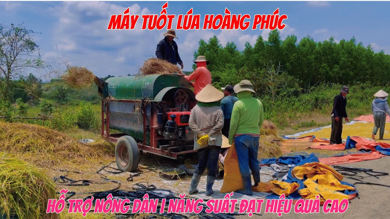 Máy tuốt lúa cơ khí Hoàng Phúc D20 hỗ trợ người dân vùng cao tuốt lúa vụ Đông Xuân|Đạt hiệu quả cao.
