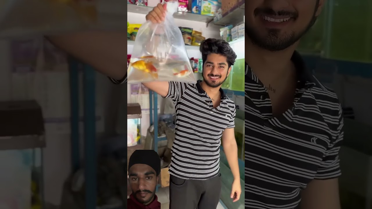 Fish 🐠 #vlogger #vlog #sardaryt #fish #fishvlog #vloggerlife #greenscreen #sarkkarryt