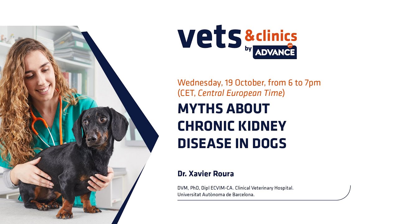14. INT - Myths about chronic kidney disease in dogs