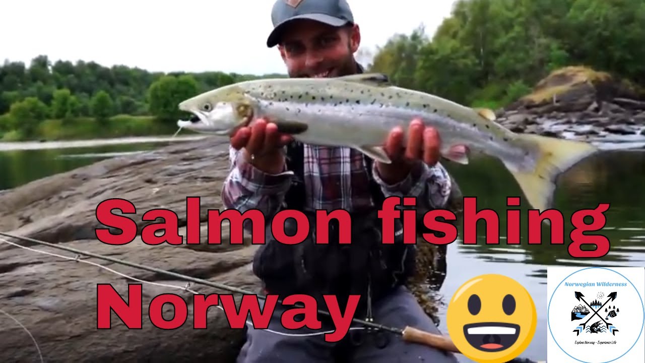 Laksefiske i liten elv / Salmon fishing Norway - Small river.