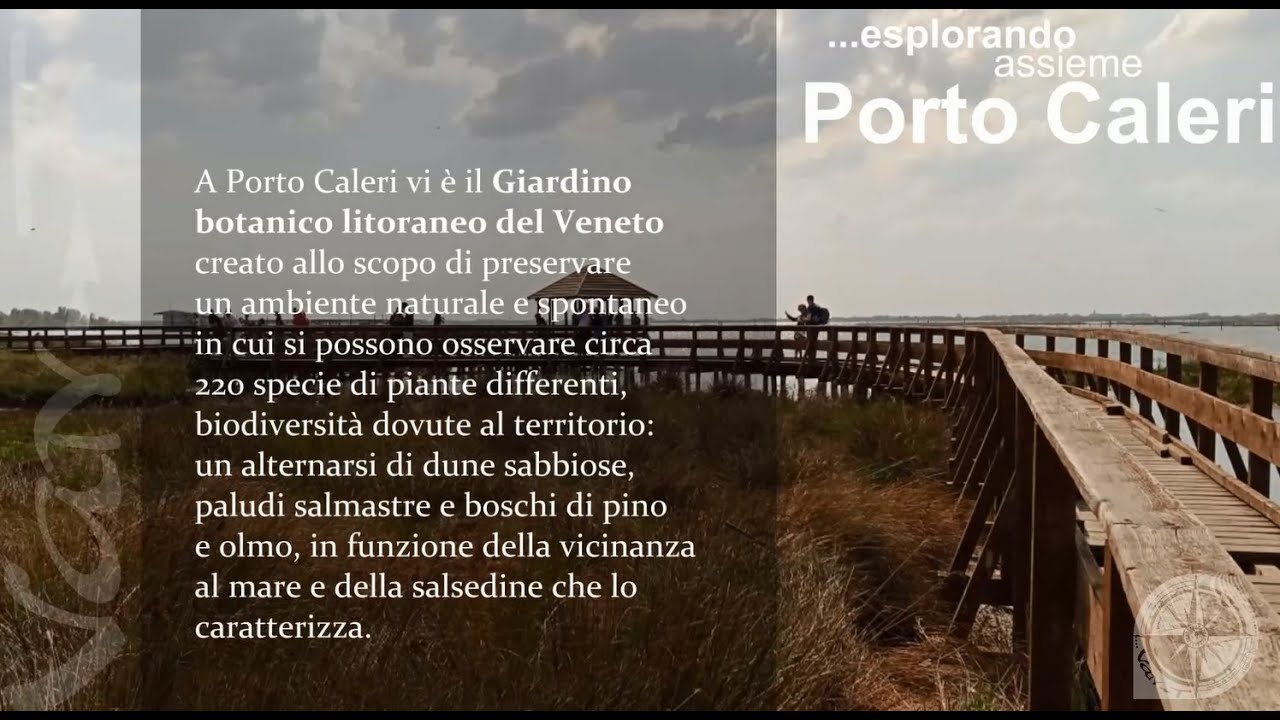 Porto Caleri - #VenetiInVan #caleri #veneto #botanico