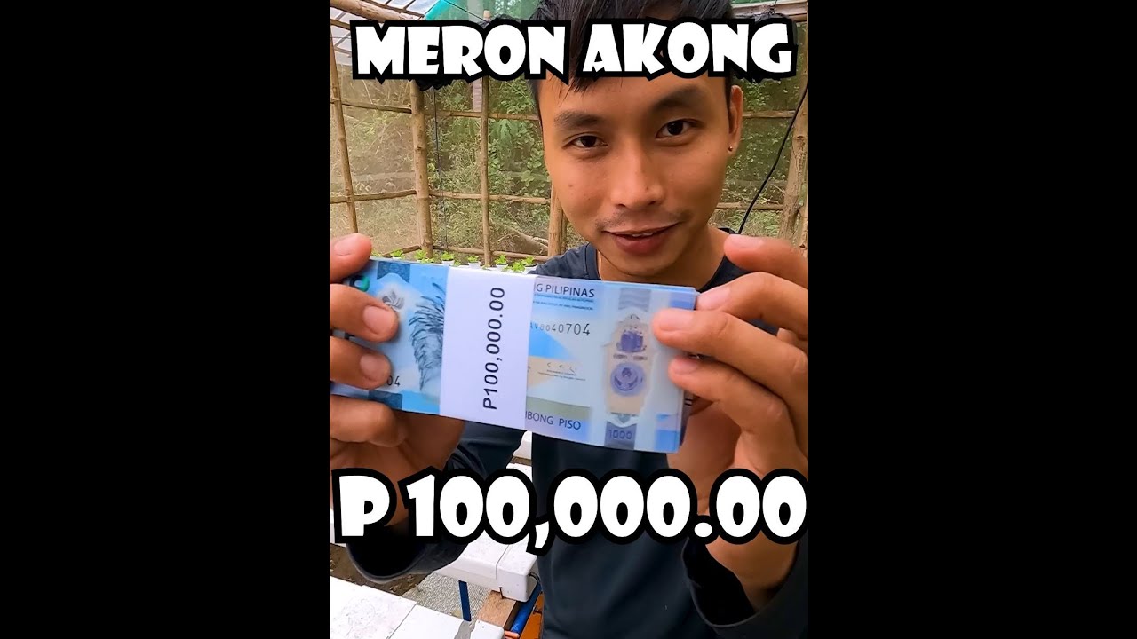 Meron Akong 100,000 Pesos at Magsisimula Ako ng Bagong Negosyo