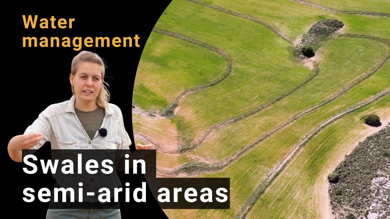 How to make swales for water retention in dry areas | Climate-smart practices at La Junquera Farm