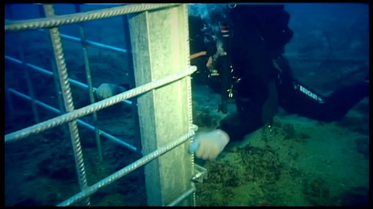 Jadranski Ronilački Servis - PROMO VIDEO I.