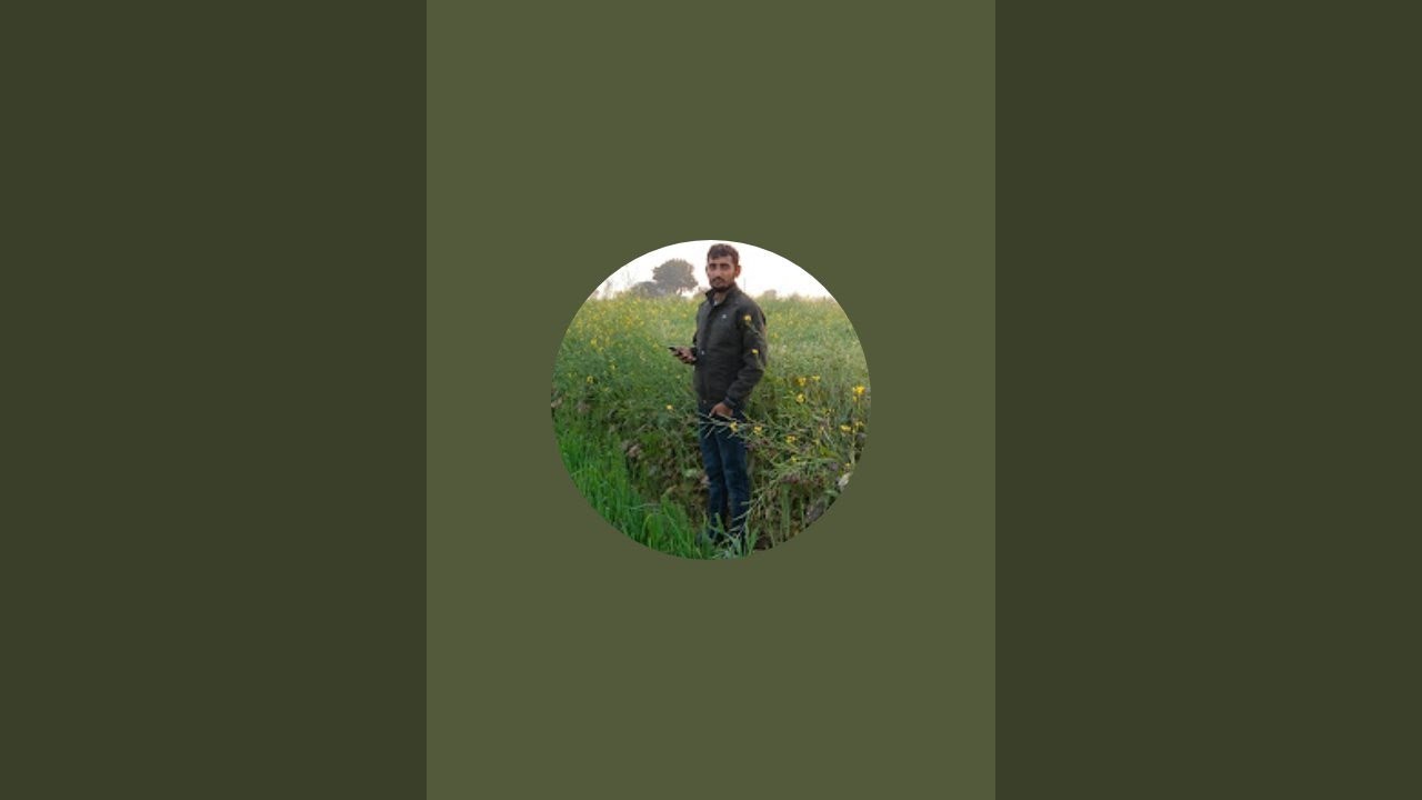 जोधकरण फार्म लाइव है!#livevideo #mhacommunity #verall #nature #farming #kisan 