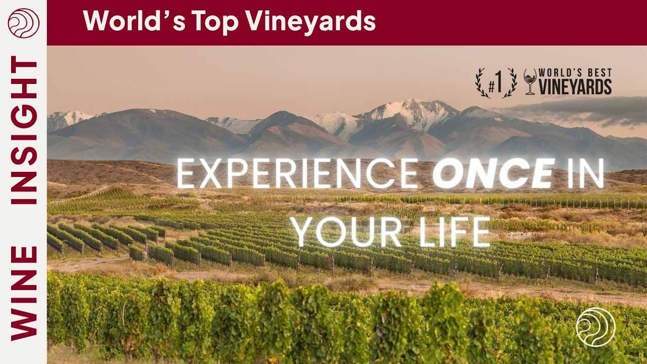 The #1  Vineyard in the World (3 Years in a Row)