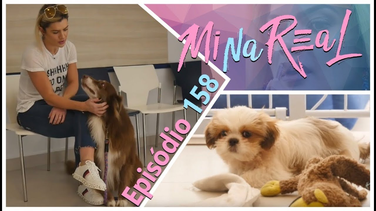 MiNa ReAl | Bartolomeu vai parar no veterinário.