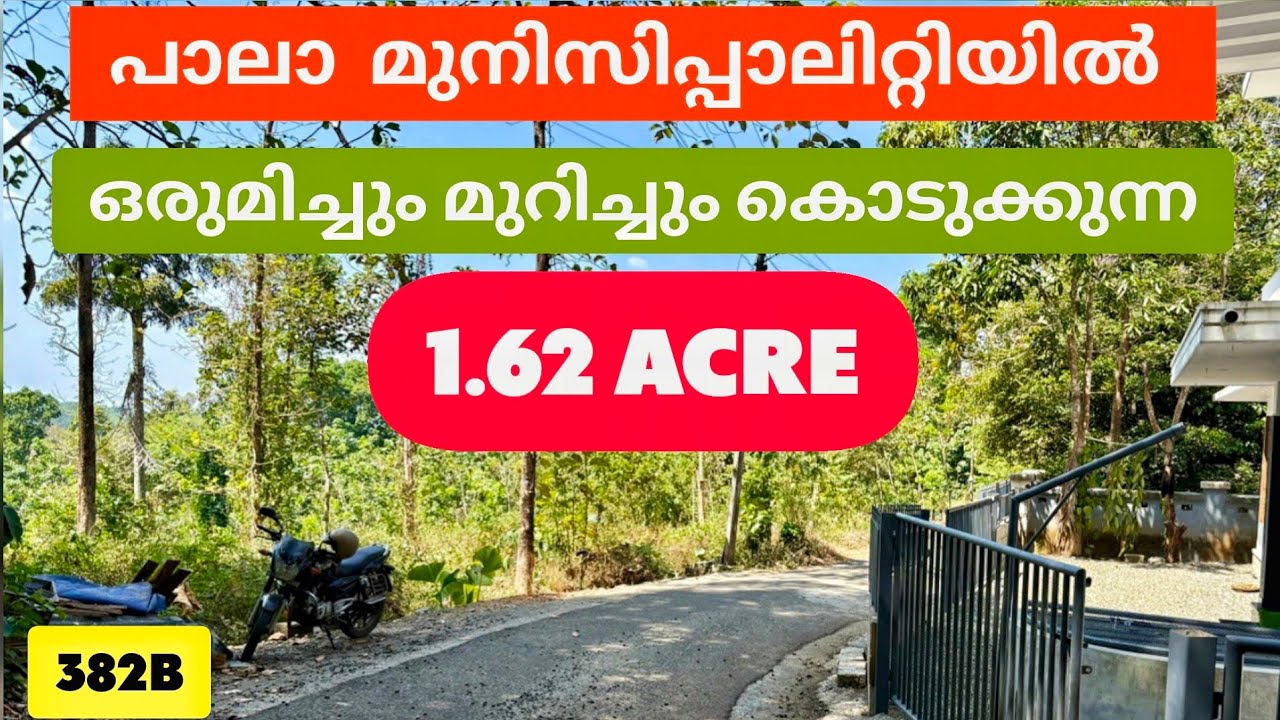 1.62 ഏക്കർ പാലാ മുനിസിപ്പാലിറ്റിയിൽ | ഒരുമിച്ചും മുറിച്ചും വിൽപ്പനയ്ക്ക് | Land for Sale | Ref 382